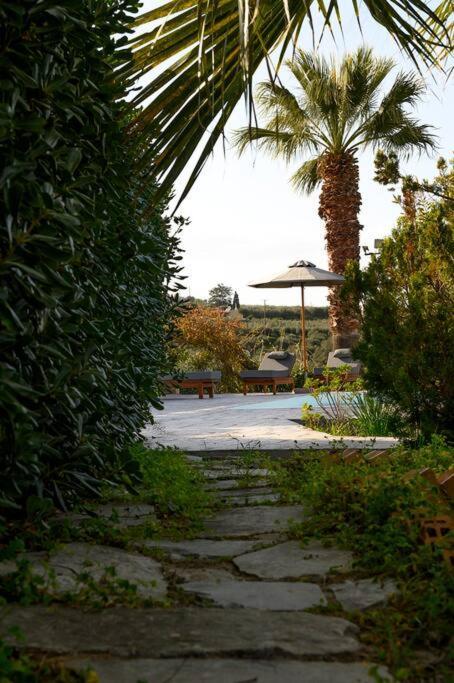 Villa Ivy Heraklion *
